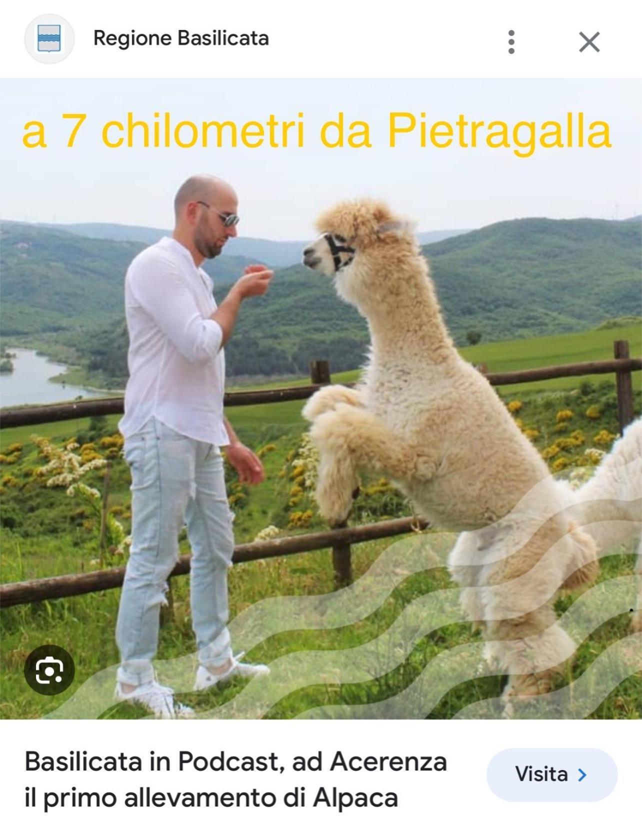 La Casa Dell'Artista Di Vittorio Vertone Pietragalla Екстер'єр фото